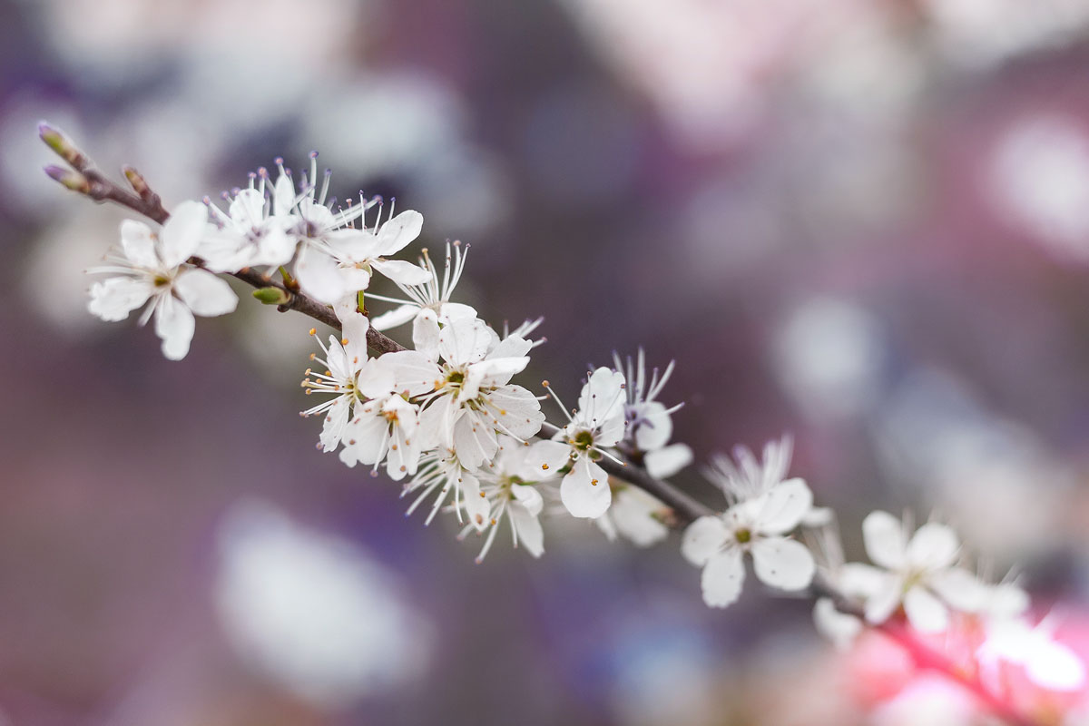 vanessa-von-wieding-JknoLnbr7hI-unsplash